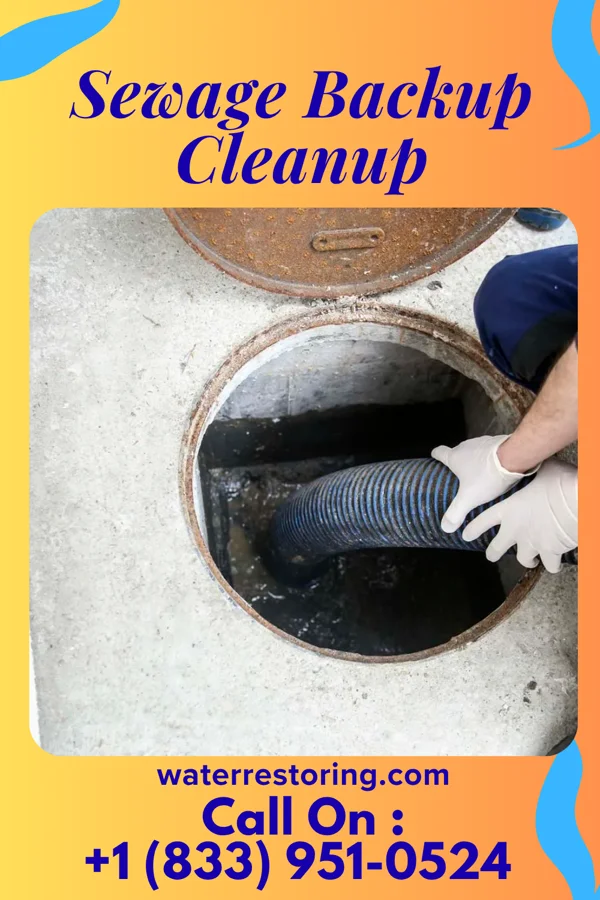 Sewage Backup Cleanup in Deans, NJ