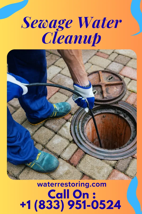 Sewage Water Cleanup in Deans, NJ