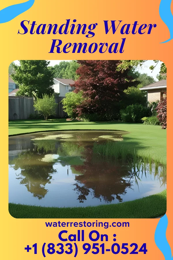 Standing Water Removal in Deans, NJ